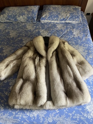 Pelliccia volpe groenlandia - volpe,