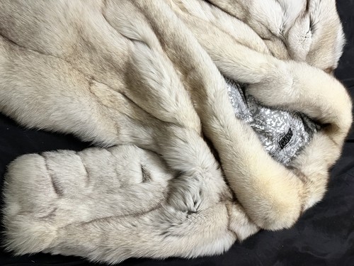 Pelliccia volpe bianca - pelliccia,