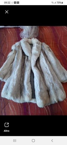 Pelliccia volpe argentata - volpe,