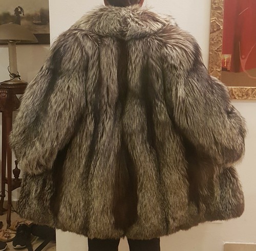 Pelliccia volpe argentata - di,