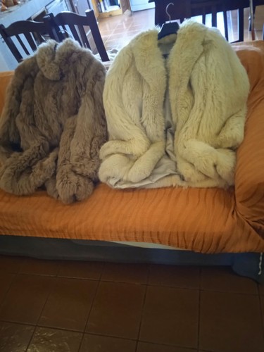 Pelliccie volpe taglia - pelliccie, di