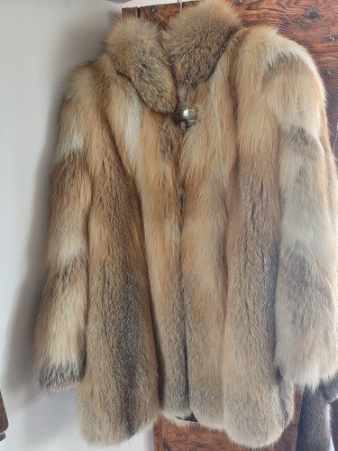 Pelliccia volpe rossa - pelliccia, fox
