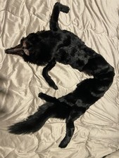 PELLICCIA COLLO DI VOLPE